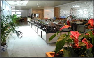 北京实心实意餐饮管理图册 提升餐饮运营的艺术与科学