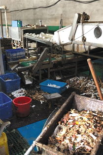 对手抹黑还是行业乱象？消毒餐具工厂曝光事件背后的博弈