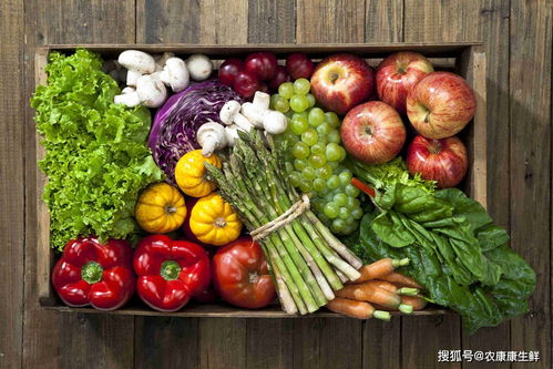 深圳市龙华区供港蔬菜首次出口 餐饮管理的协同创新与市场机遇